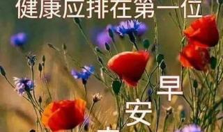 清明祝福怎么说才对