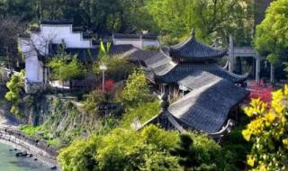 人民网评《山花烂漫时》