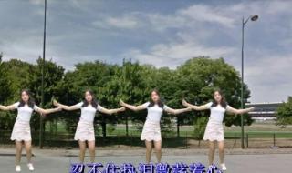 我和草原有个约定广场舞