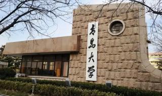 青岛大学录取分数线2022