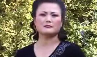 秦腔名家李苏迎简历