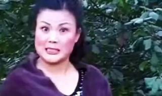 秦腔名家李苏迎简历