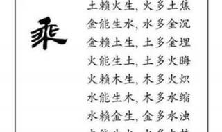 金木水火土谁的腿最长