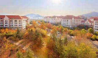 上学路上的美景一段话